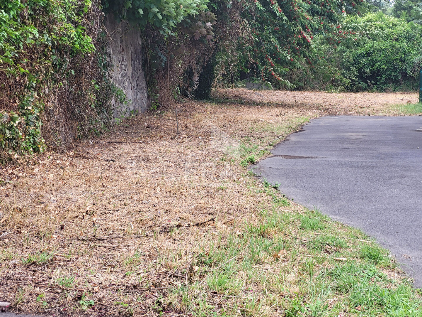 Photo Terrain Lens 800 m2 image 3/4