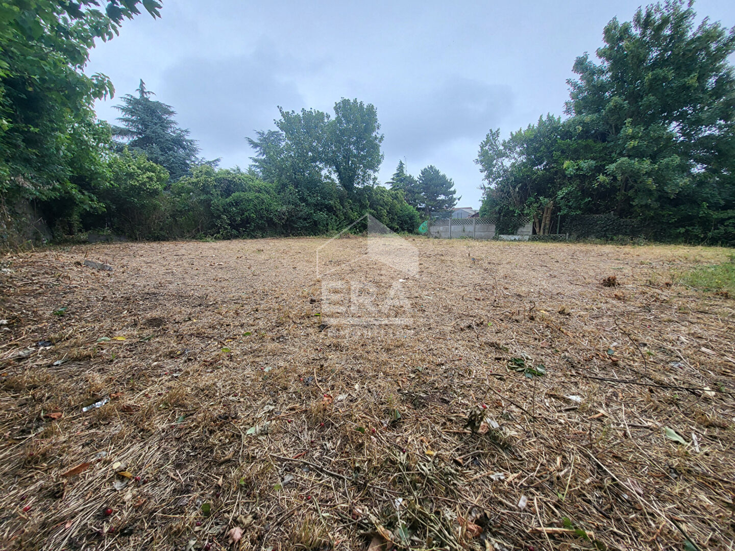 Photo Terrain Lens 800 m2 image 4/4