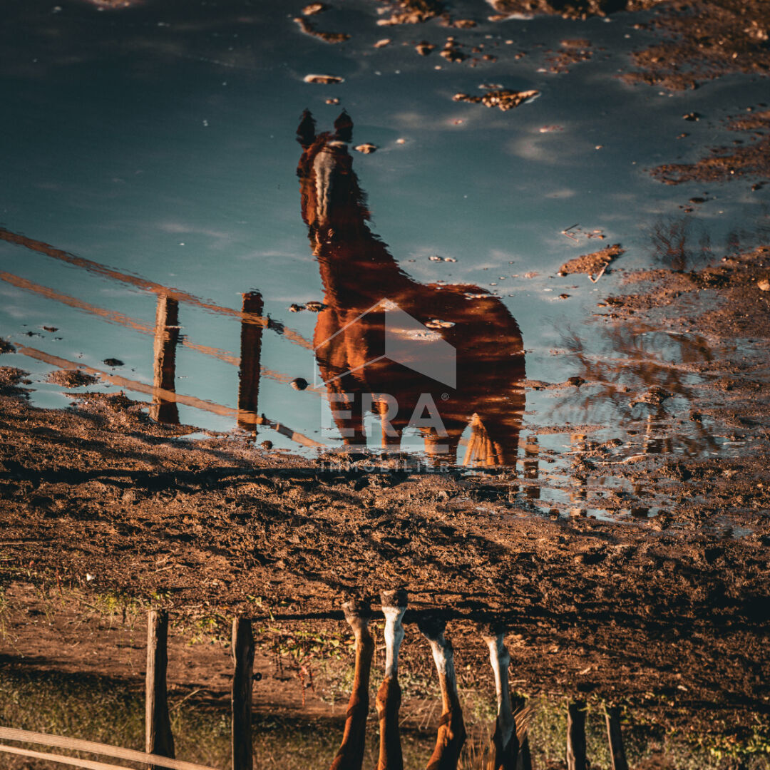 Photo A vendre propriété équestre de 37802 m² entièrement aménagée image 2/6