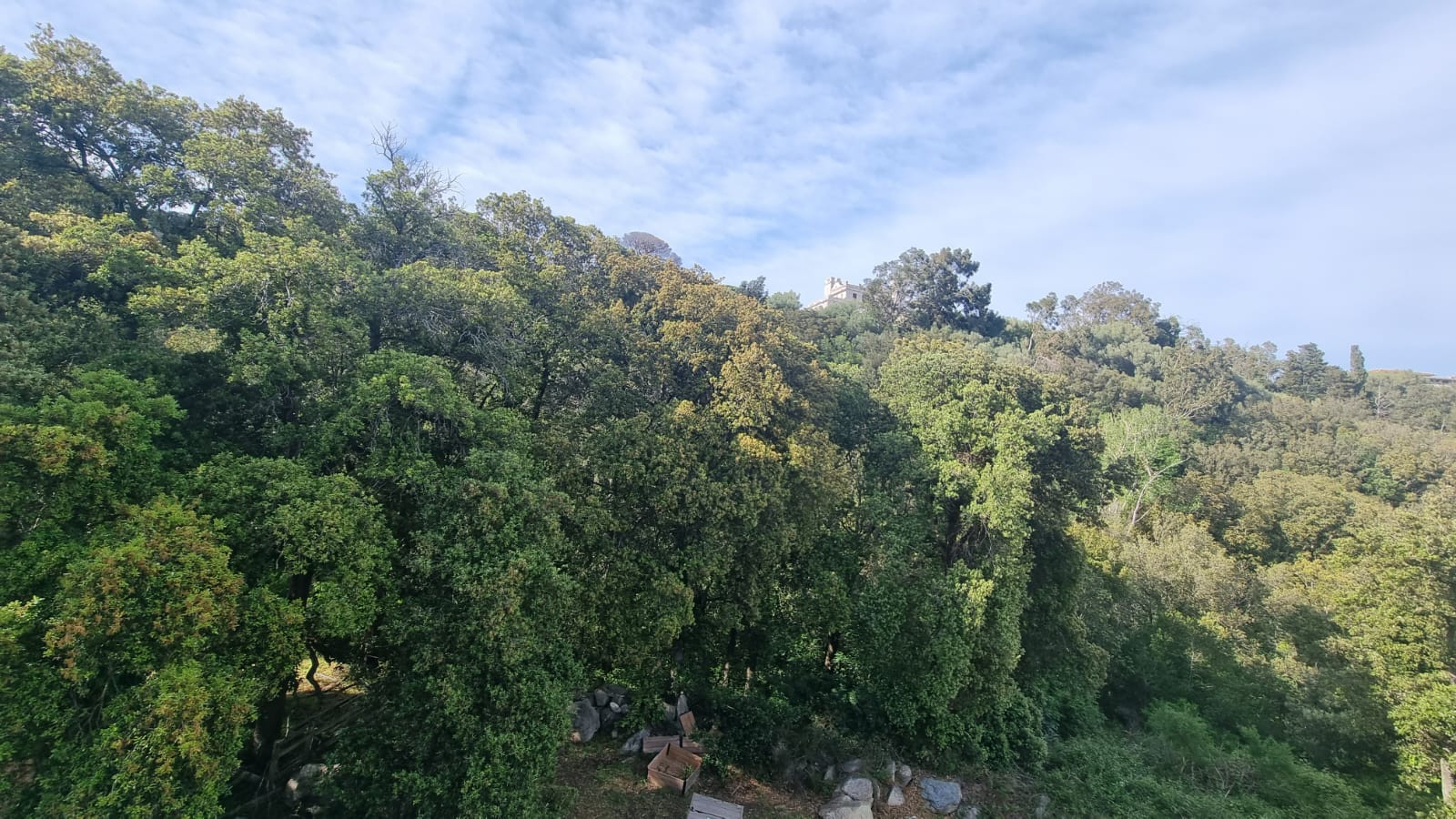 Photo Appartement Bastia 2 pièce(s) image 2/6