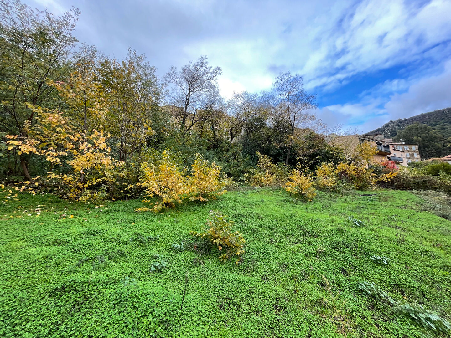 Vente Terrain constructible Oletta - 1271 m²