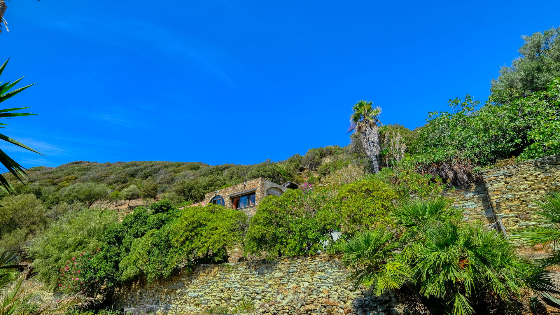 Vente propriété Centuri - Hameau de Cannelle T4 147 m²  avec terrain 5825 m² avec vue mer