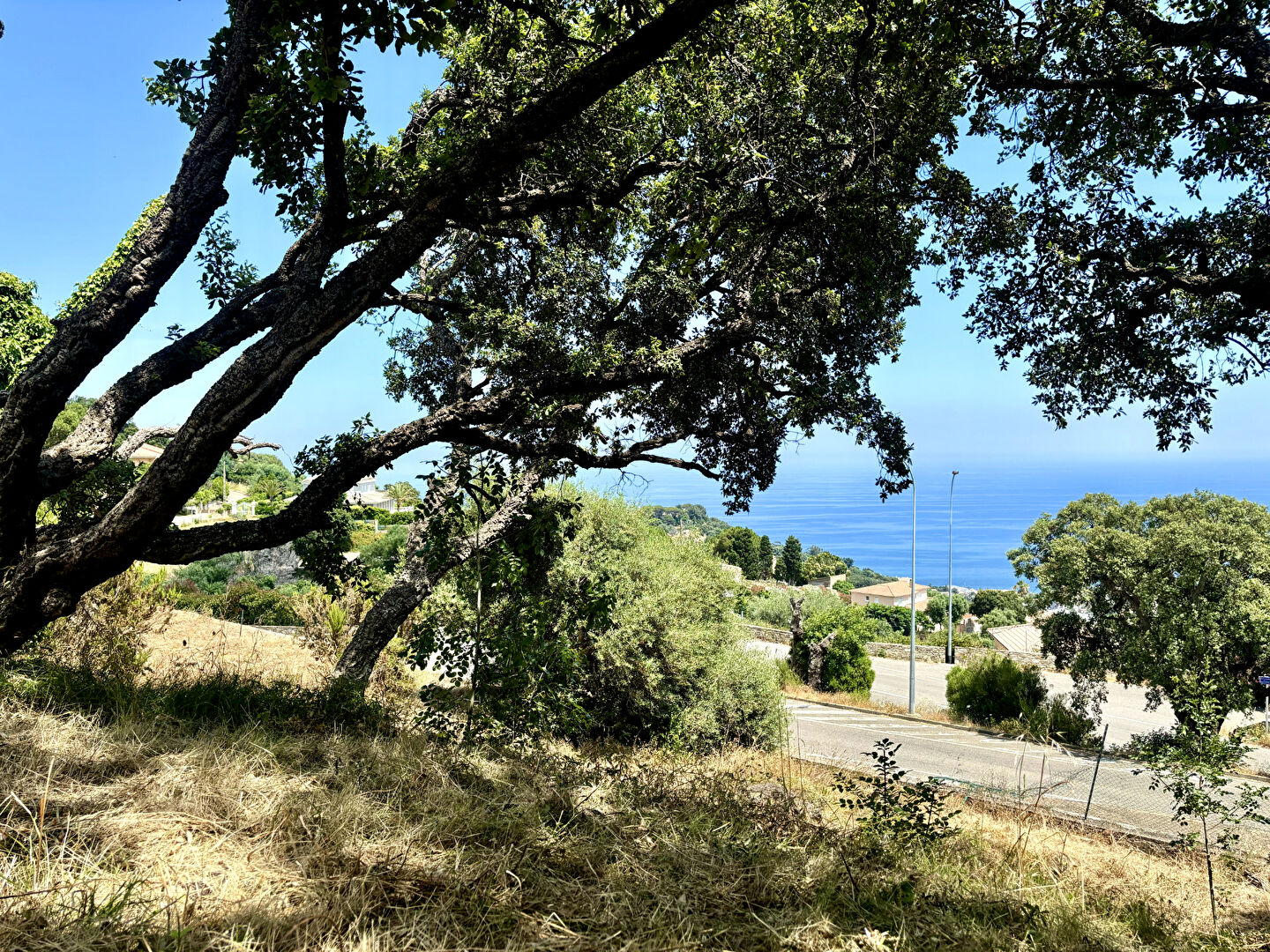 Photo Vente TERRAIN AVEC PERMIS BASTIA CARDO 2 MAISONS image 5/6