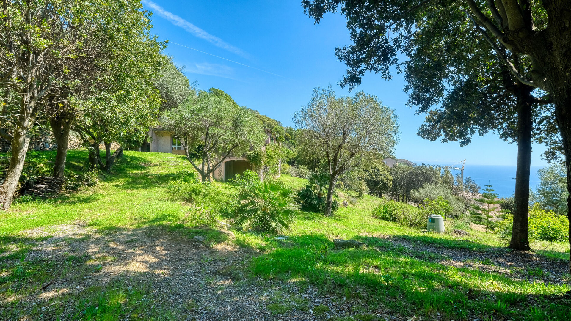 Photo Propriété Bastia - Cardo maison 165 m2 avec terrain de 4500 m2 vue mer et piscine image 1/6
