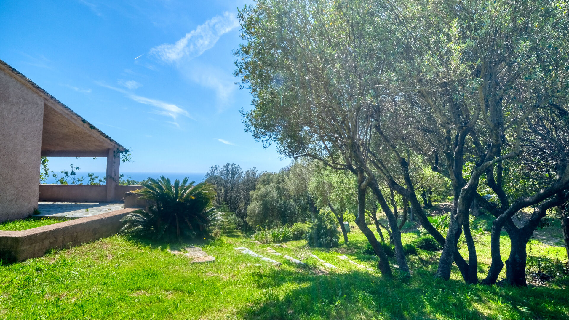 Photo Propriété Bastia - Cardo maison 165 m2 avec terrain de 4500 m2 vue mer et piscine image 3/6