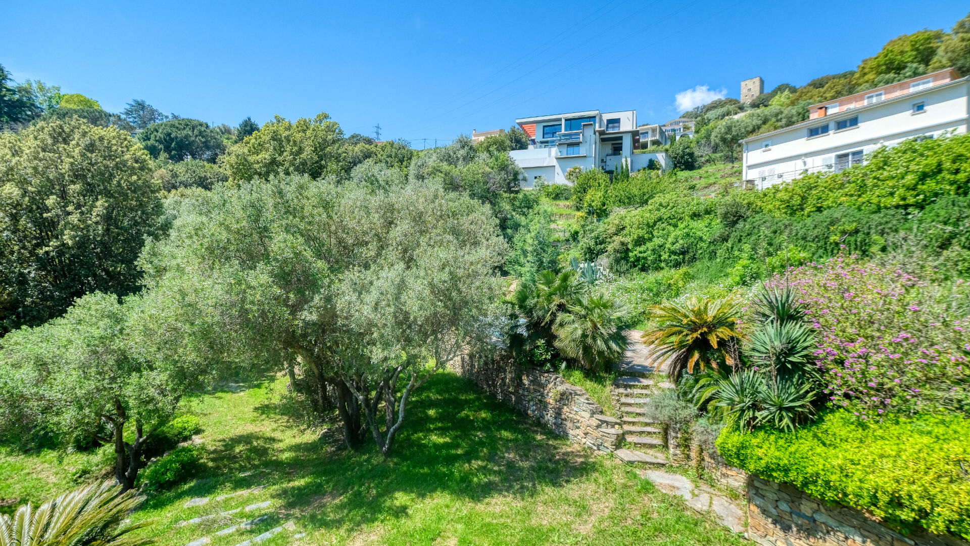 Photo Propriété Bastia - Cardo maison 165 m2 avec terrain de 4500 m2 vue mer et piscine image 4/6