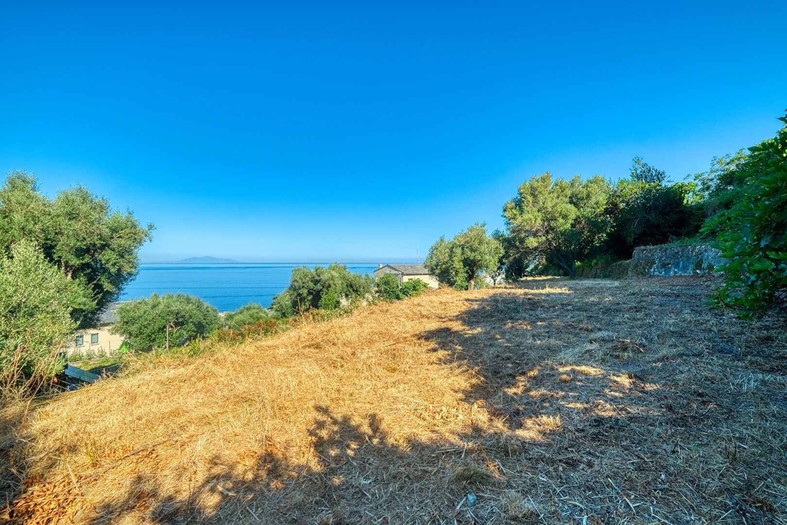 Vente Terrain Constructible Vue Mer Brando - Mausoleo