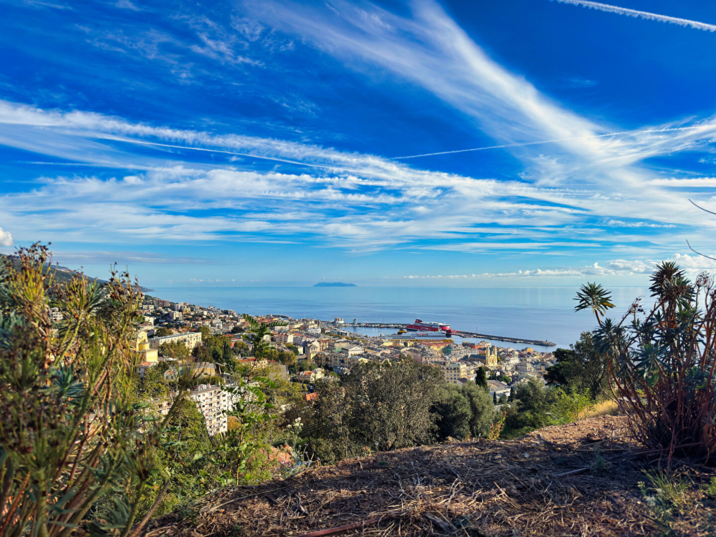 Terrain Constructible Bastia Centre Ville Vue Mer 2358 m²