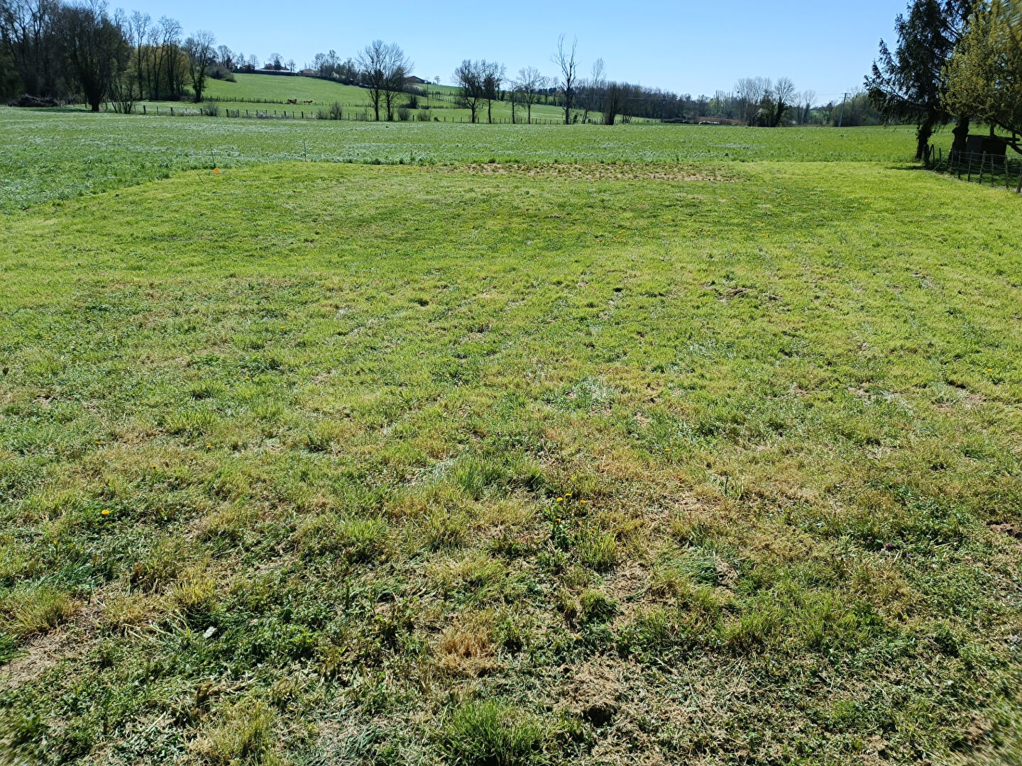 Photo Terrain Confrancon 1047 m2 image 2/2