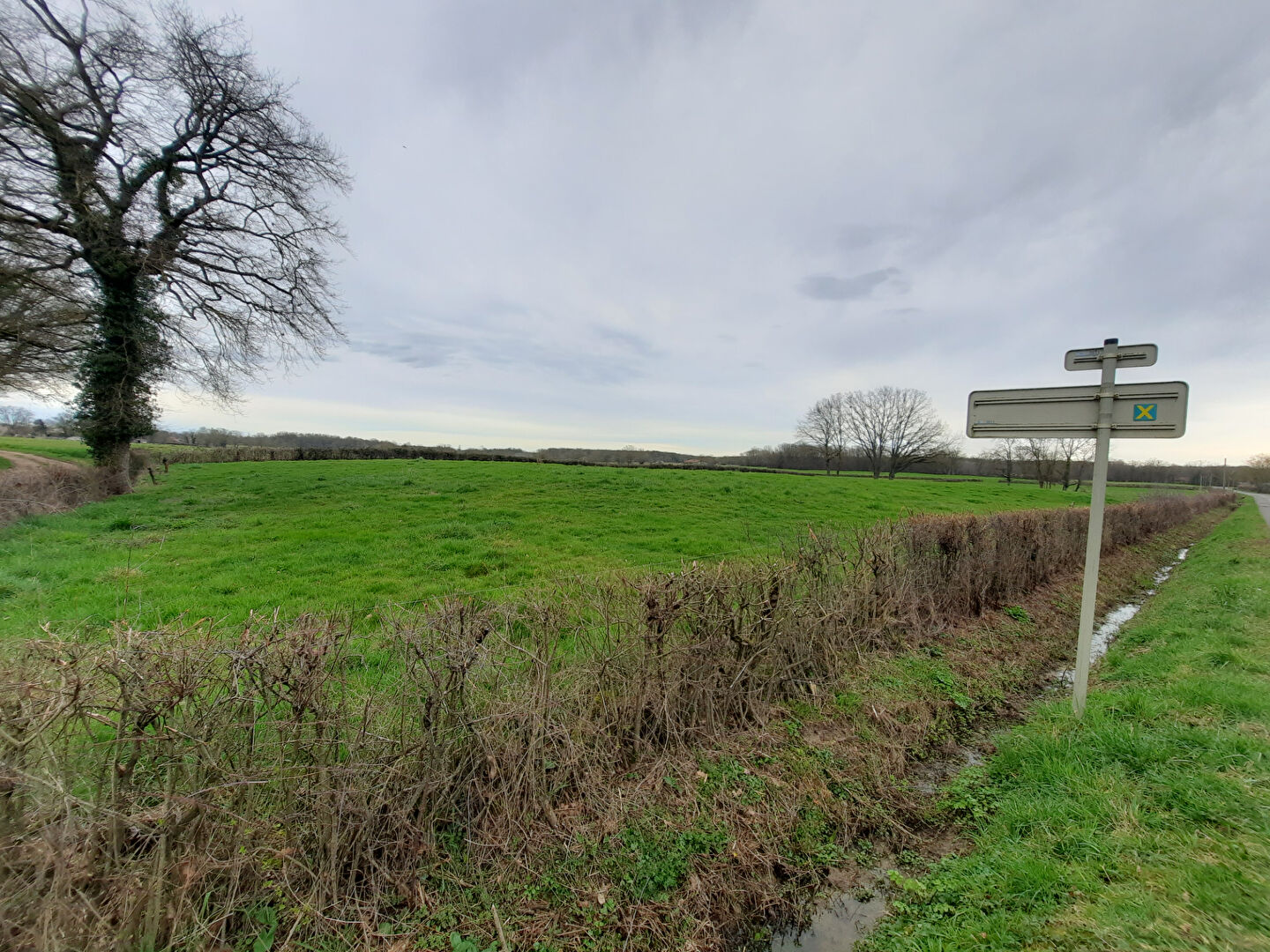 Photo Grande parcelle hors lotissement, 8min Montrevel en Bresse image 2/2