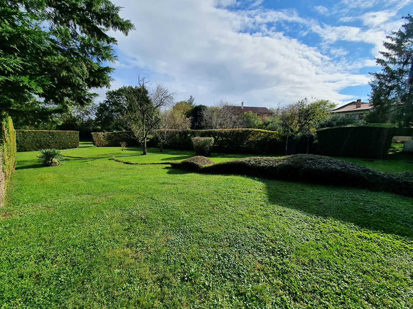 Photo Maison à vendre à Revonnas - 5 pièces avec terrain spacieux image 4/6