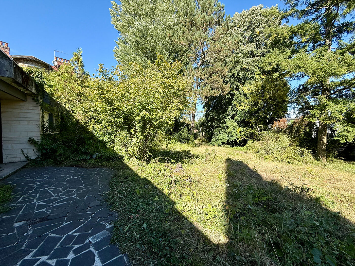 Photo Maison La Celle Saint Cloud 5 pièce(s) 151 m2 image 4/6