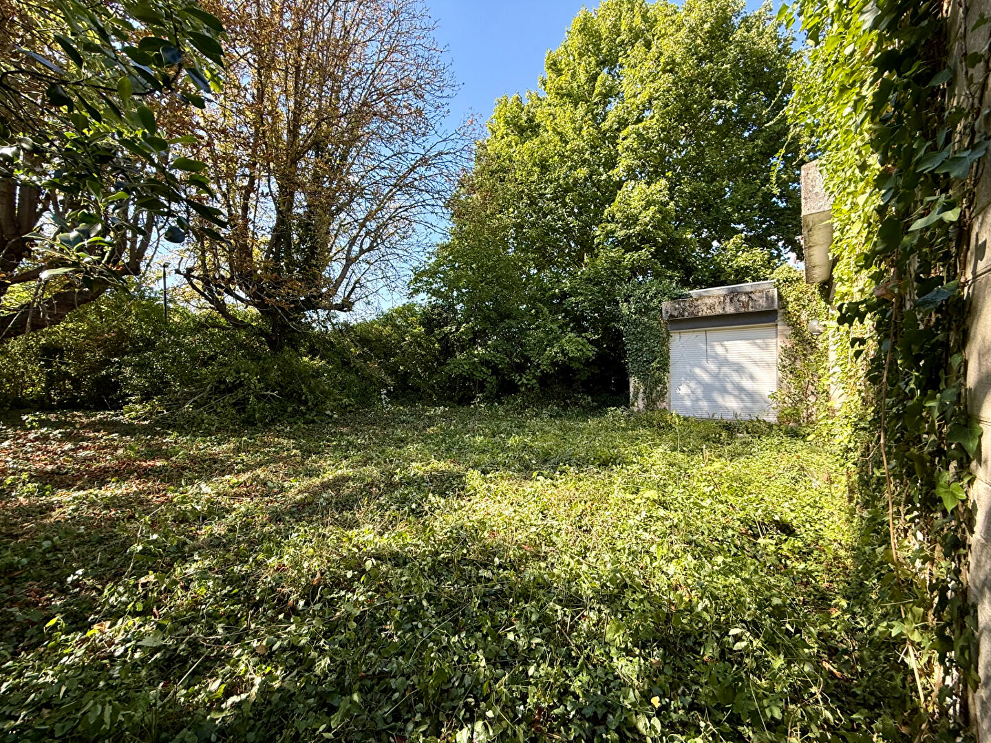 Photo Maison La Celle Saint Cloud 5 pièce(s) 151 m2 image 5/6