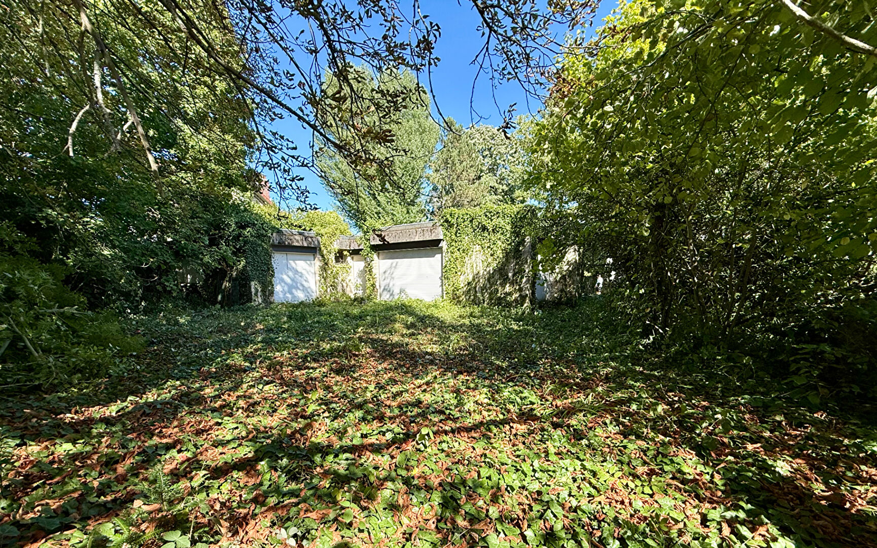 Photo Maison La Celle Saint Cloud 5 pièce(s) 151 m2 image 6/6