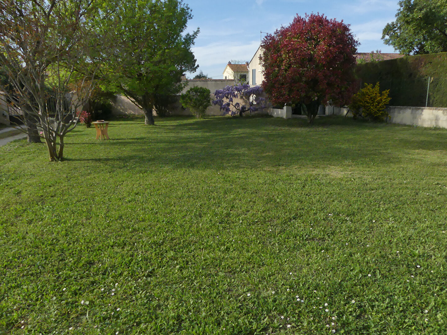 Photo A VENDRE ENTRAIGUES SUR LA SORGUE Terrain constructible 317 m² image 2/4