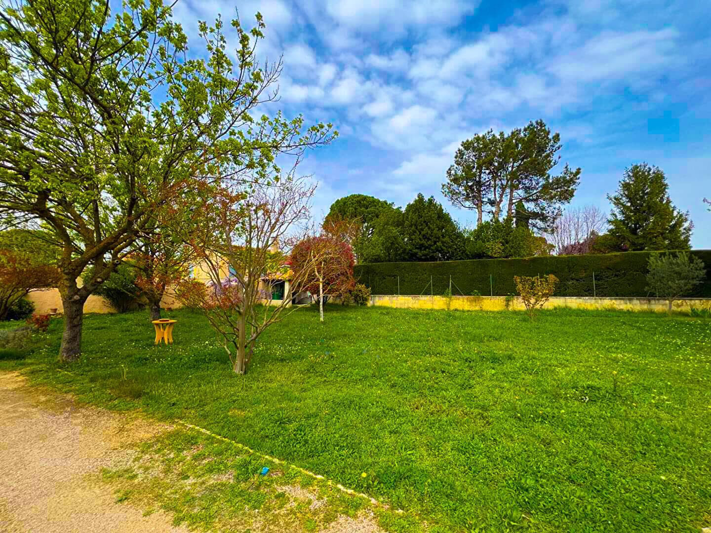 Photo A VENDRE ENTRAIGUES SUR LA SORGUE Terrain constructible 317 m² image 4/4