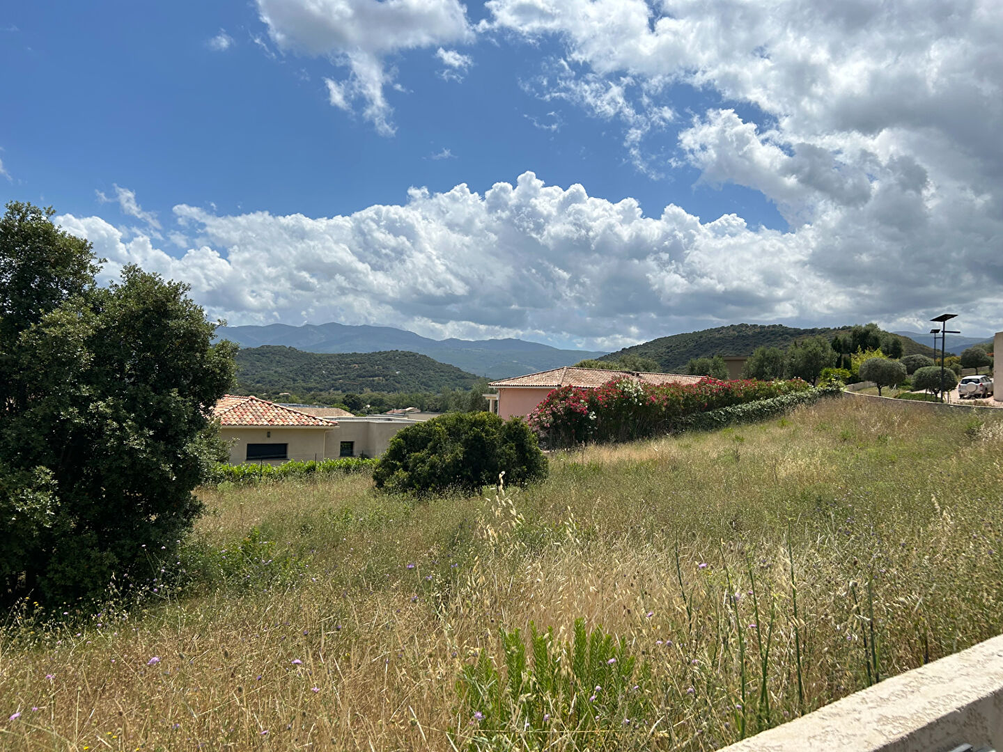 Photo A VENDRE OLETTA TERRAIN CONSTRUCTIBLE DE 1493 M² (viabilisé ,COS DE 20% ) image 2/3