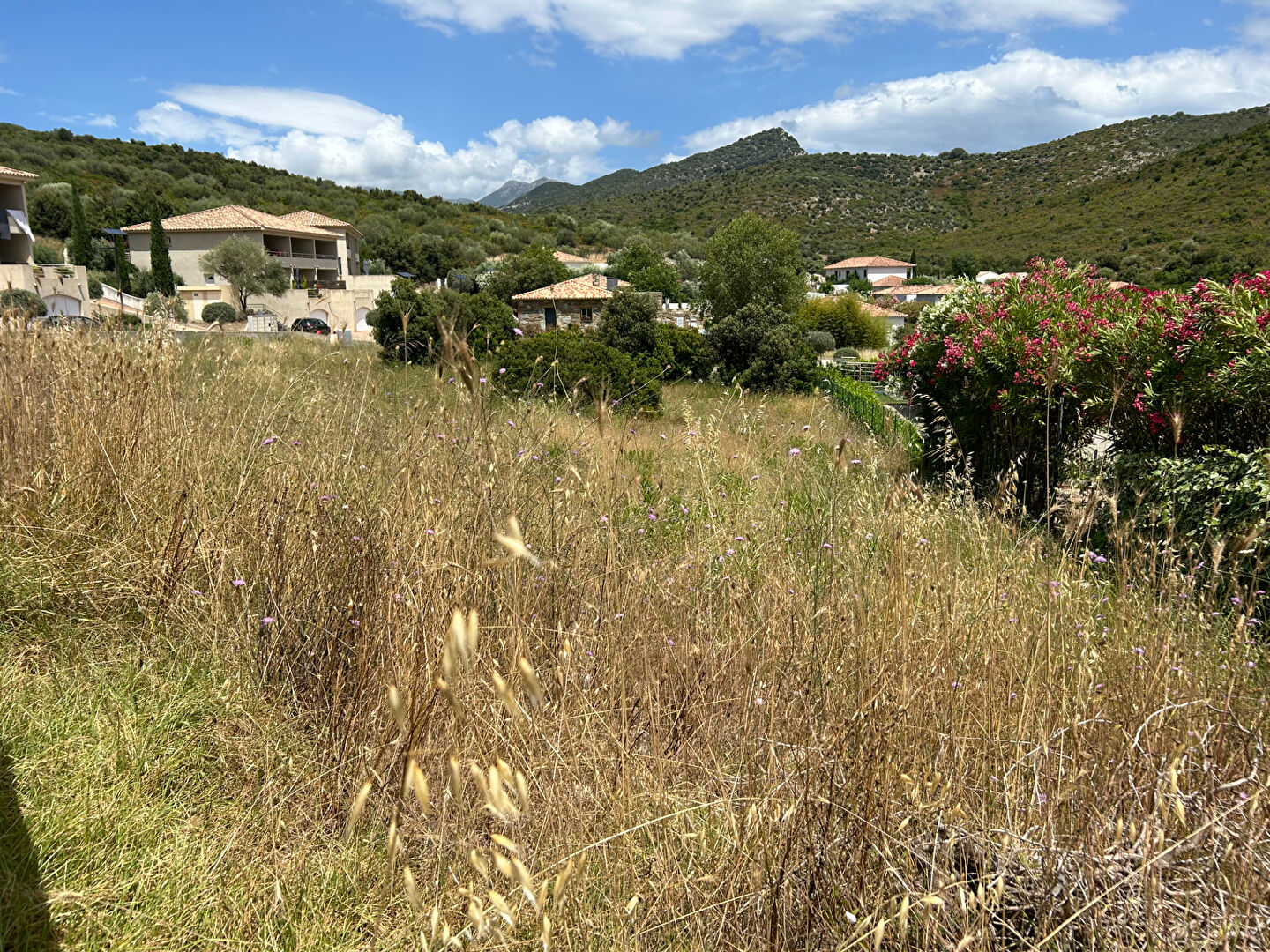 Photo A VENDRE OLETTA TERRAIN CONSTRUCTIBLE DE 1493 M² (viabilisé ,COS DE 20% ) image 3/3