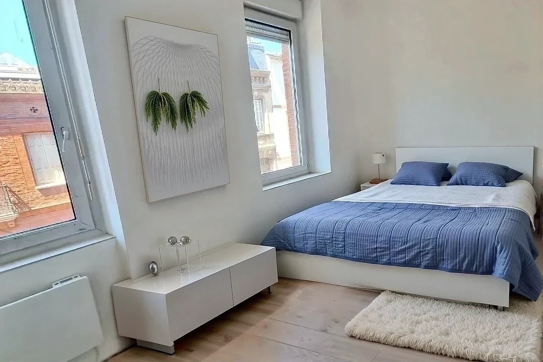 Photo BUSCA Toulouse 2 pièces image 2/2