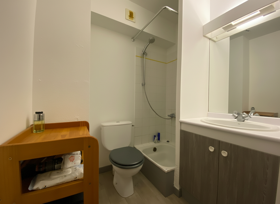 Photo Appartement Toulouse 1/2 pièce(s) 32 m2 avec place de parking image 5/5