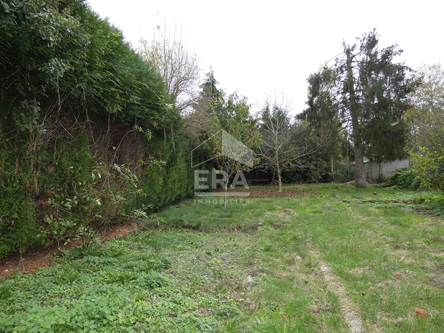 Photo Maison Chauny image 3/6