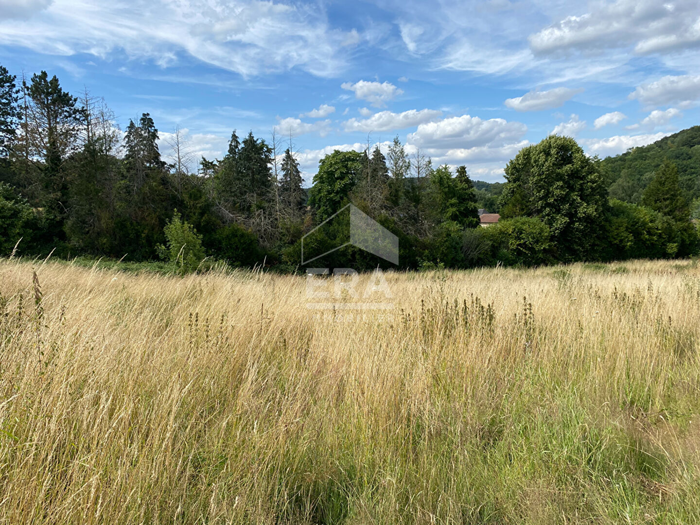 Photo Terrain 7450 M2 Secteur Anizy le château (02320) image 2/4