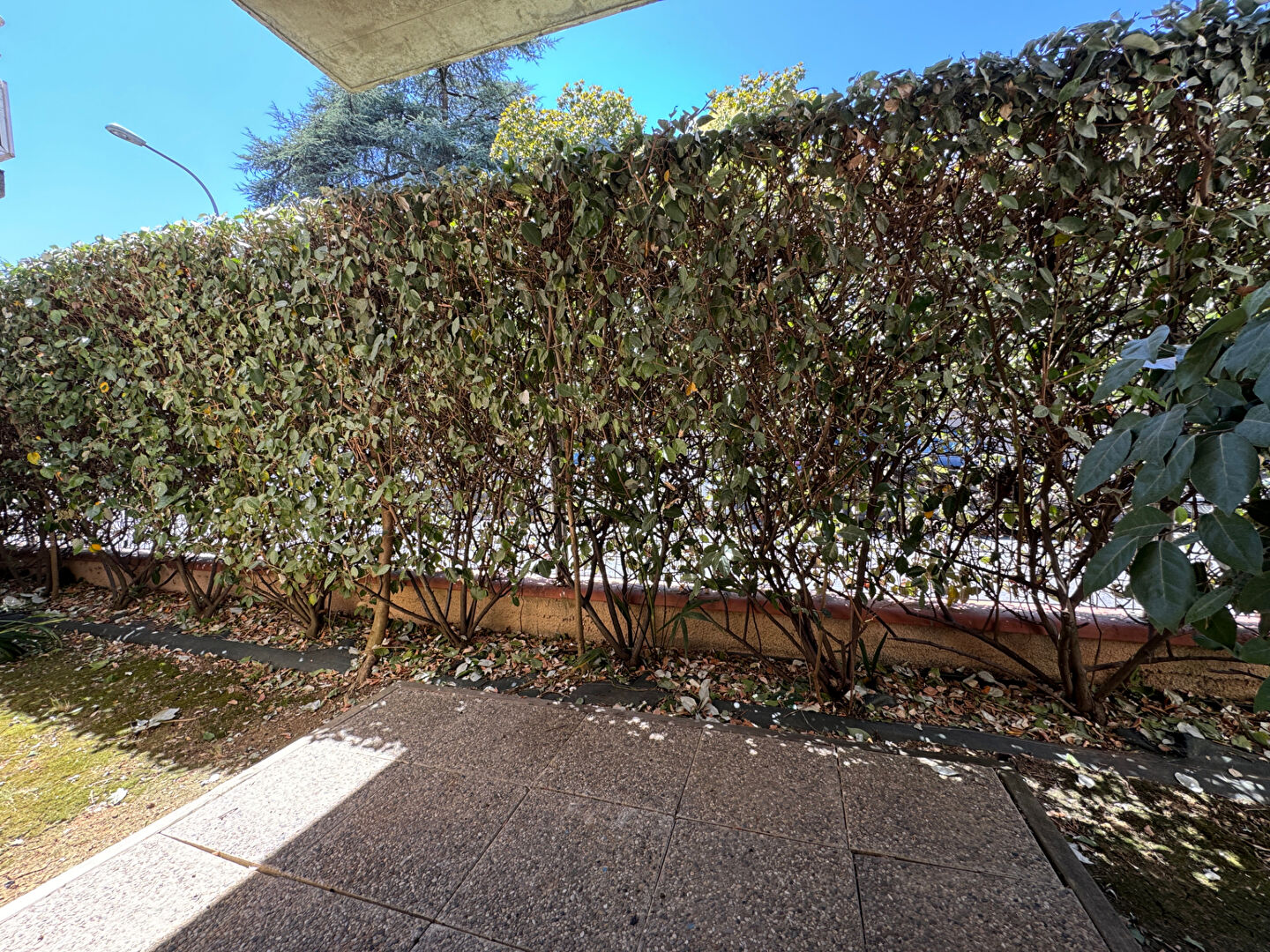 Photo T1BIS meublé avec parking - ALBI FAC image 6/6