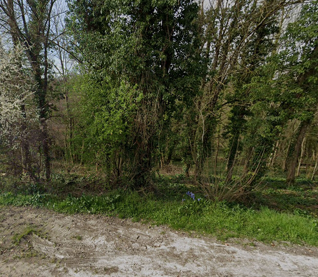 Terrain constructible de 1676 m² à Fontaine-le-Port ? Emplacement privilégié