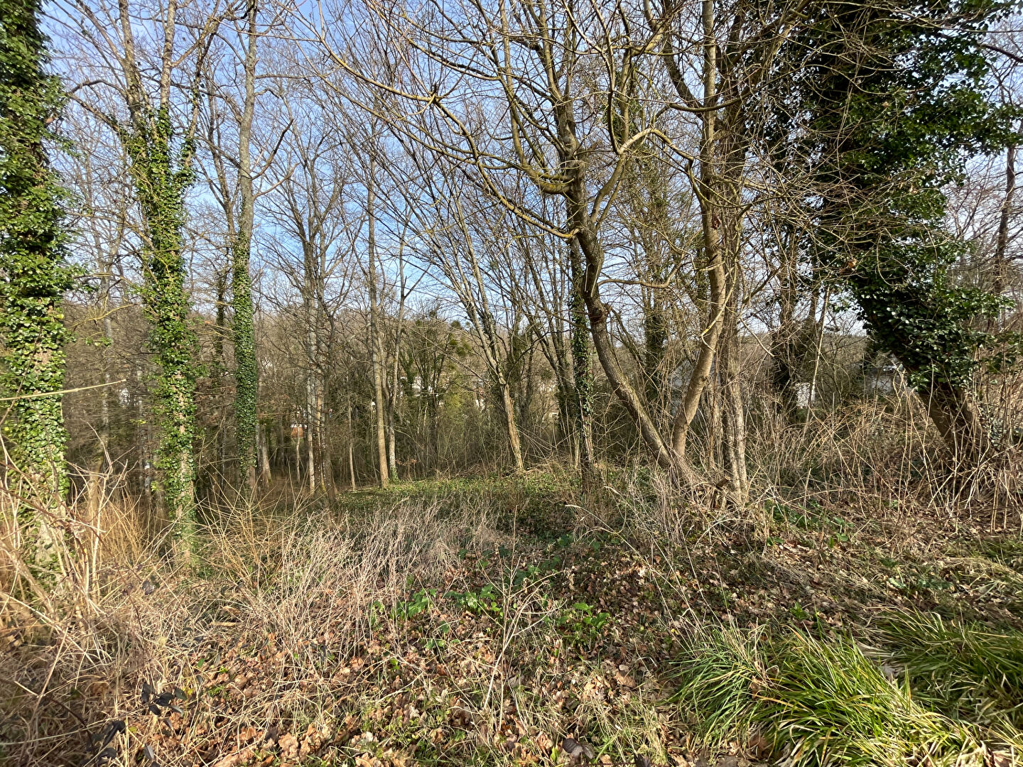 Terrain constructible de 1848 m² à Fontaine-le-Port ? Orientation Sud