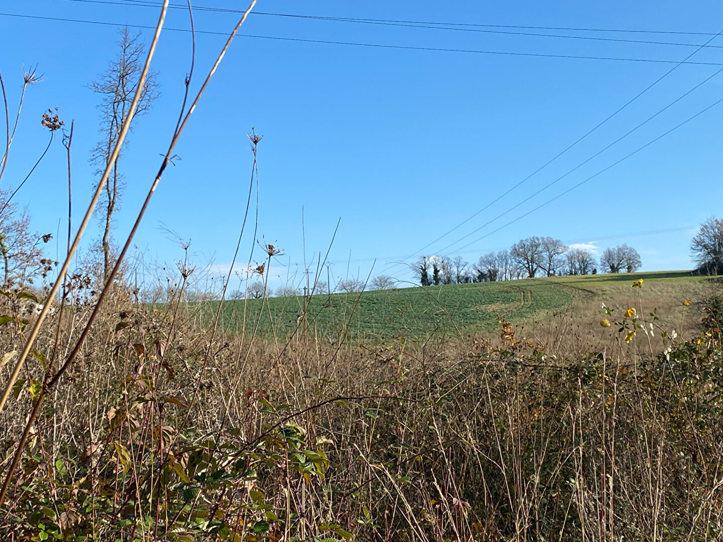 AV Terrain constructible à Trelissac 24750 proche Hopital  (1 hectare)