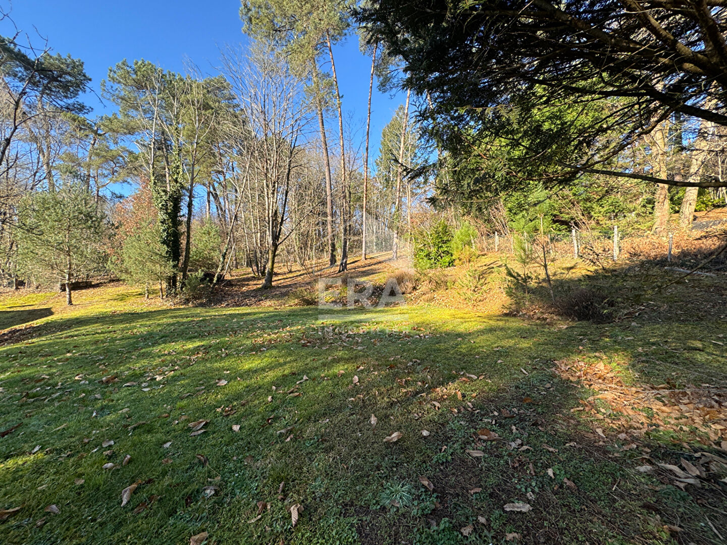 Photo Terrain constructible plat de 1500 m2 sur Chancelade (24650) image 2/4