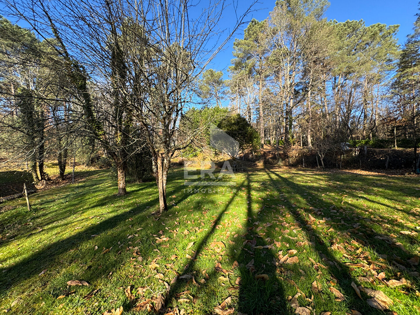 Photo Terrain constructible plat de 1500 m2 sur Chancelade (24650) image 4/4