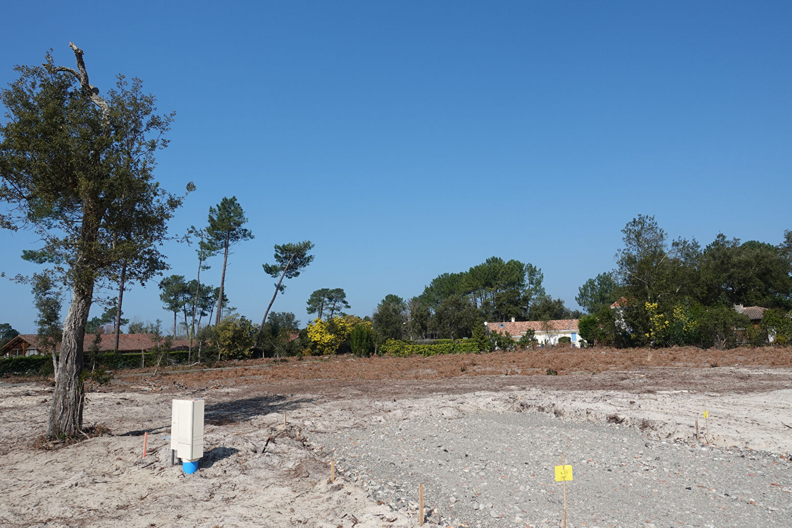 Photo Terrain Moliets Et Maa 1111m2 image 3/5