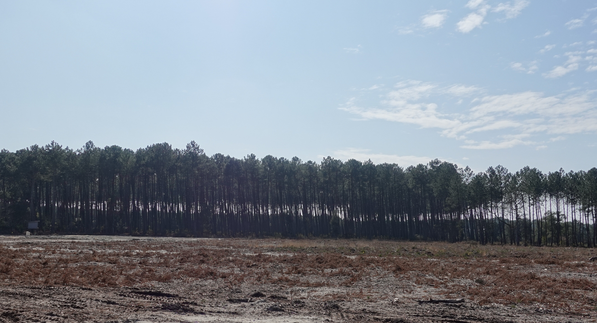 Photo Terrain Moliets Et Maa 1111m2 image 4/5