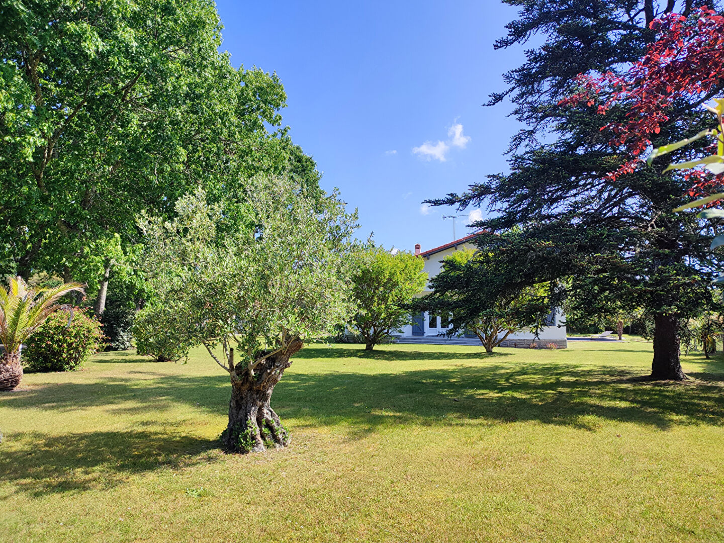 Photo Maison Vielle Saint Girons 8 pièce(s) 161.54 m2 image 2/6