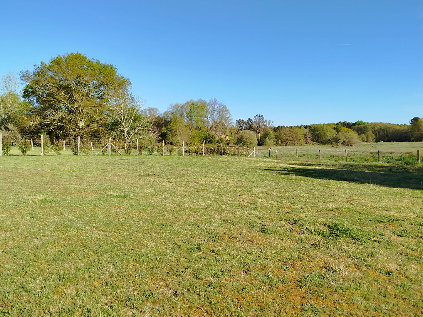 Photo Terrain 5390m² Vielle Saint Girons - Proximité lac image 2/4