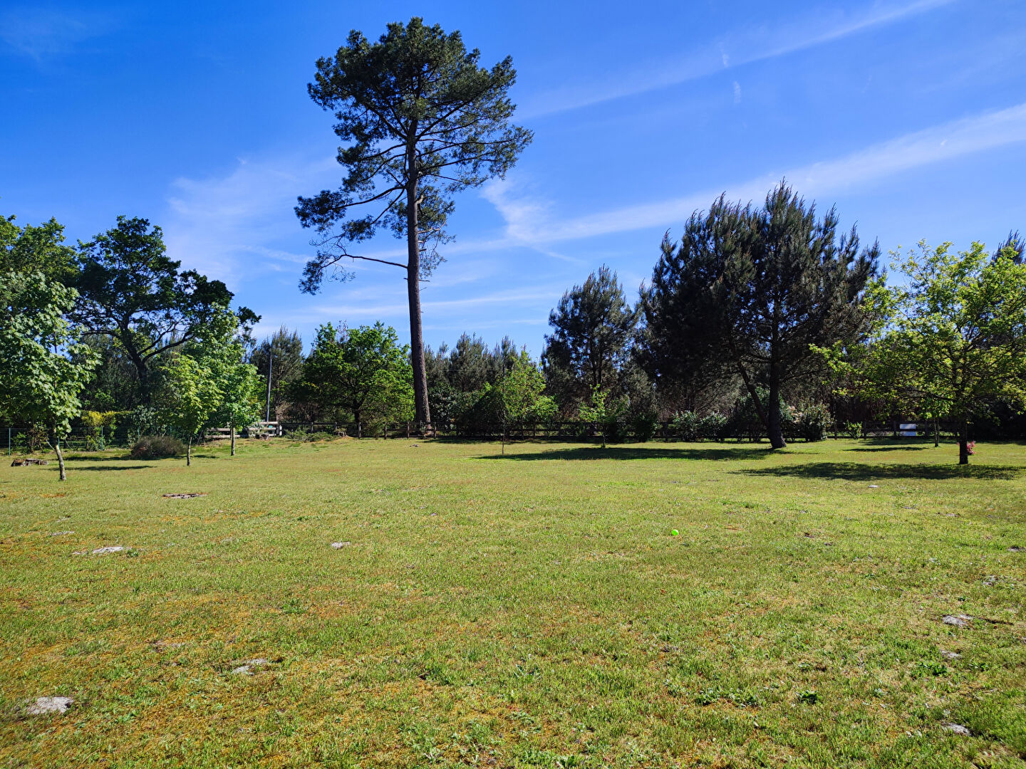 Photo Terrain LESPERON 2650m² image 2/6