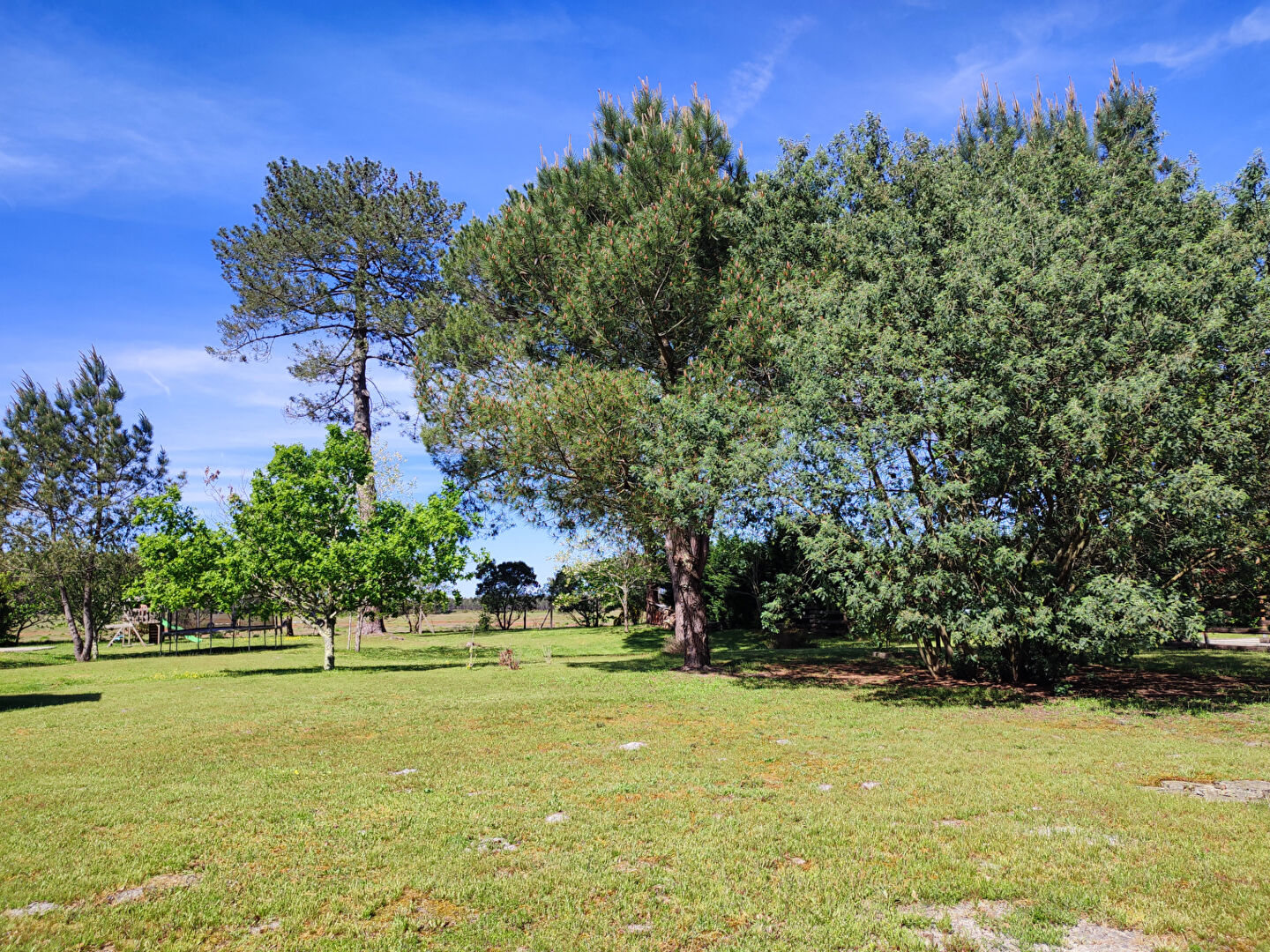 Photo Terrain LESPERON 2650m² image 3/6