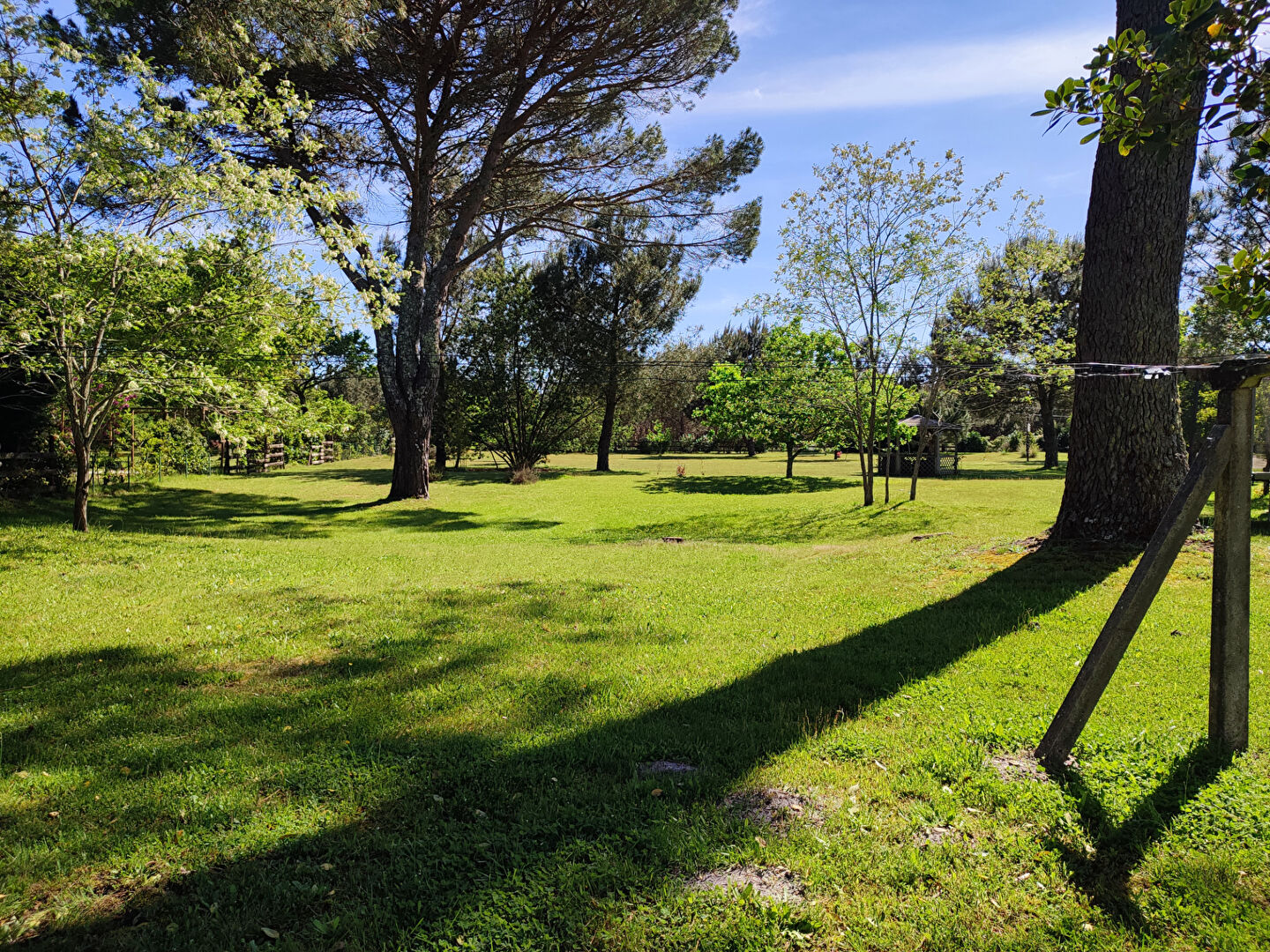 Photo Terrain LESPERON 2650m² image 4/6