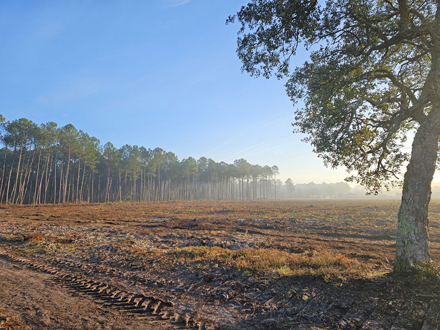 Photo Lotissement Vielle Saint Girons - NOUVEAUTE image 2/3