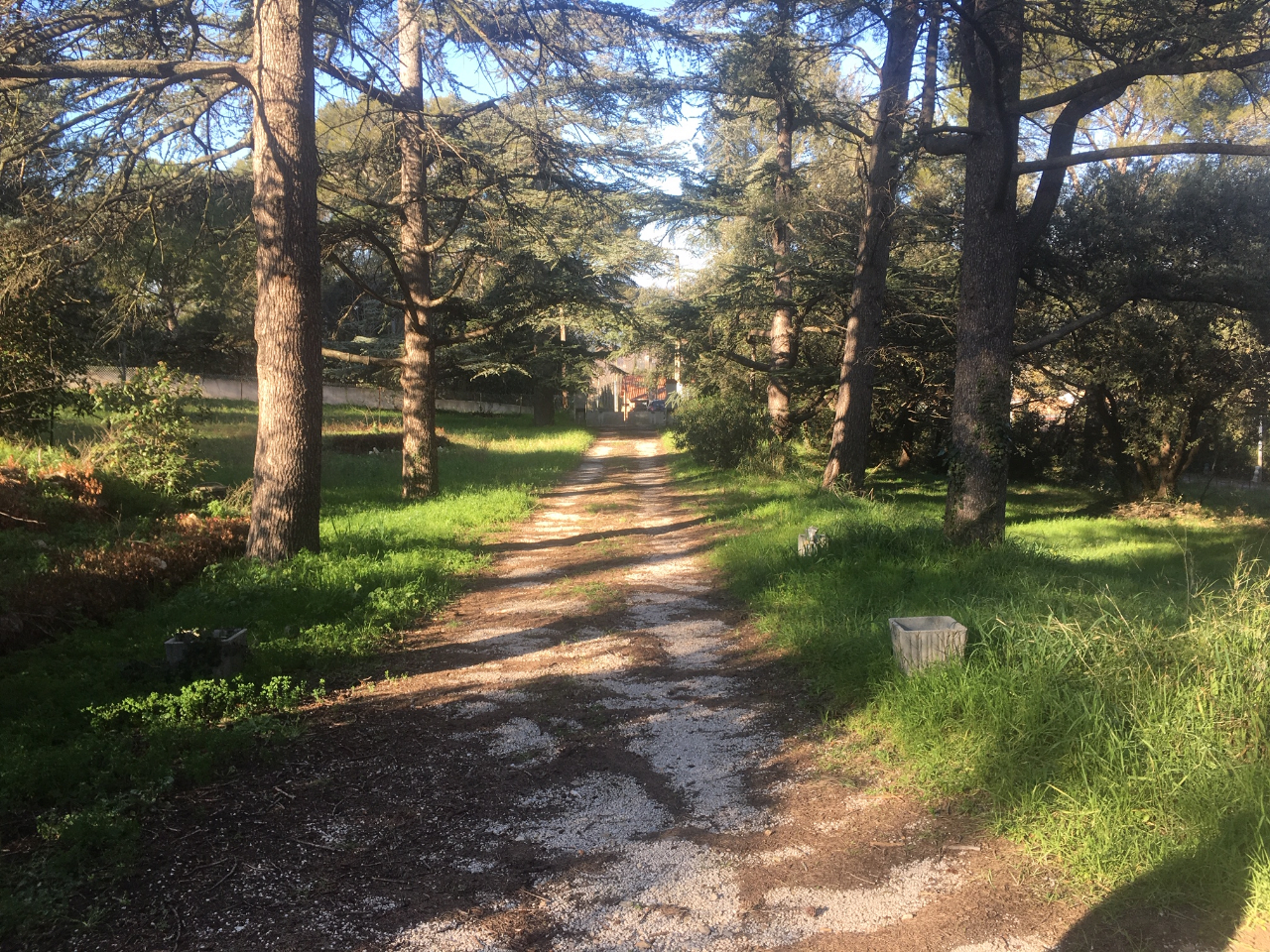 Agence immobilière de Era Immobilier Marseille Bastide