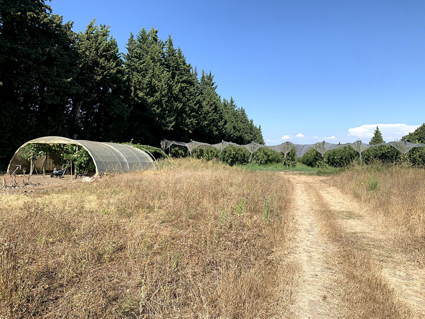 Photo LE THOR - PROCHE ISLE SUR LA SORGUE - CAUMONT SUR DURANCE - TERRAIN AGRICOLE AVEC HANGAR DE 400 M² image 2/5