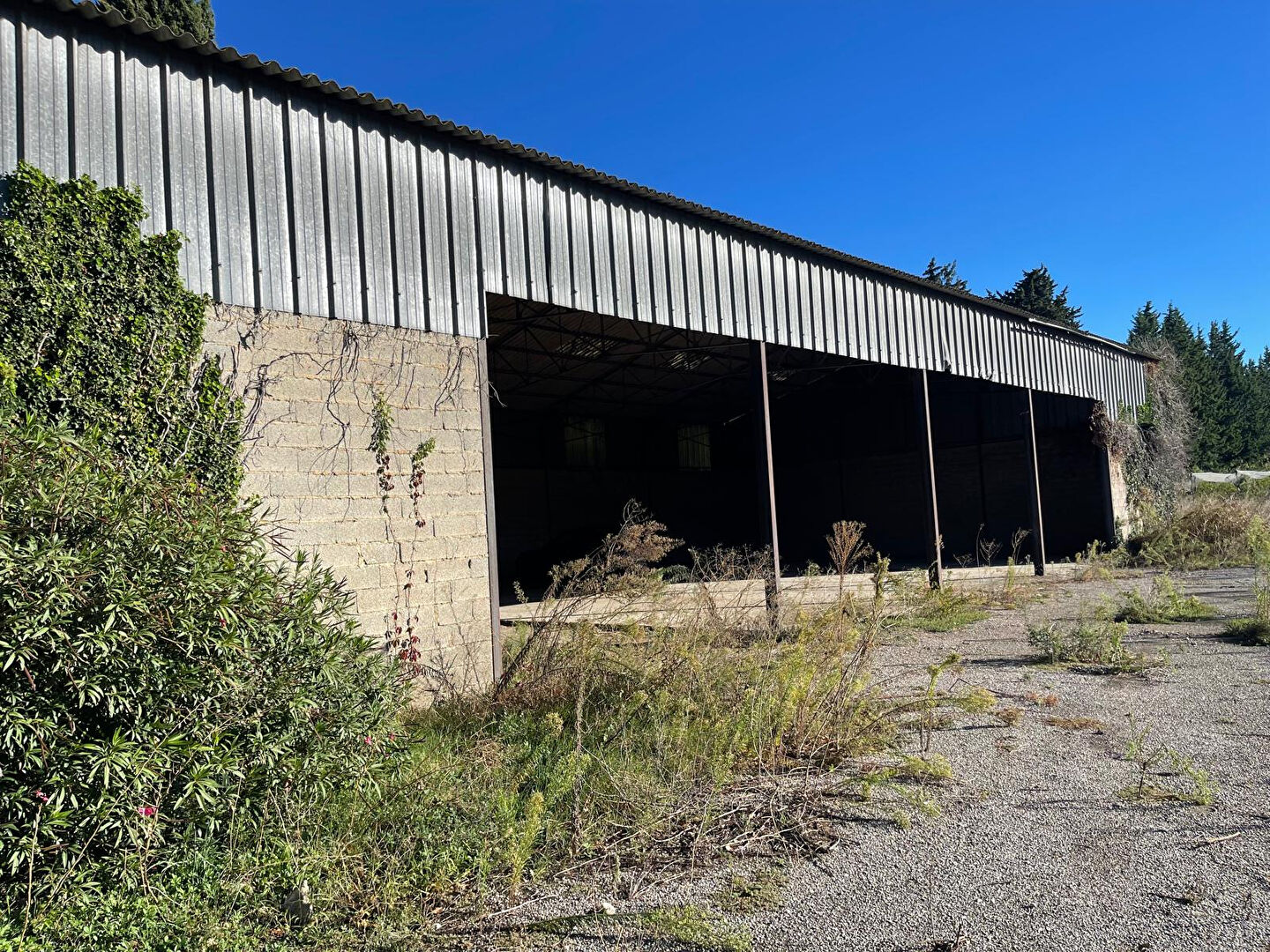 Photo LE THOR - PROCHE ISLE SUR LA SORGUE - CAUMONT SUR DURANCE - TERRAIN AGRICOLE AVEC HANGAR DE 400 M² image 3/5