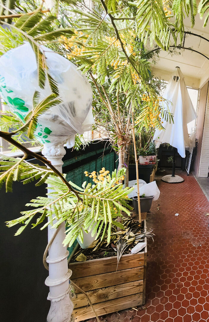 Photo AVIGNON - APPARTEMENT A VENDRE DE TYPE 4 de 71 m² 3 CHAMBRES - AVEC BALCON - CAVE - PORTAIL ELECTRIQUE image 2/6