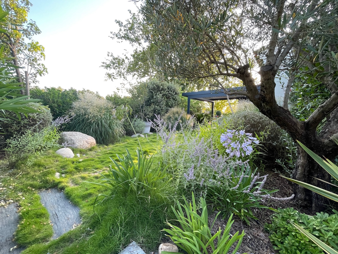 Photo VEDENE - PROCHE AVIGNON - MAISON MODERNE DE 135M² DE SURFACE HABITABLE SUR UN TERRAIN DE 500 M² - GARAGE - PARKINGS image 3/6