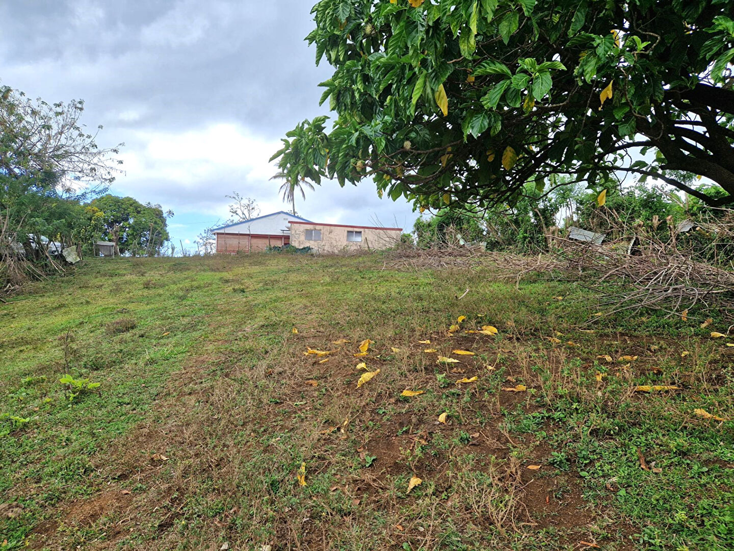 Photo Terrain Le Lamentin 4459 m2 image 2/6