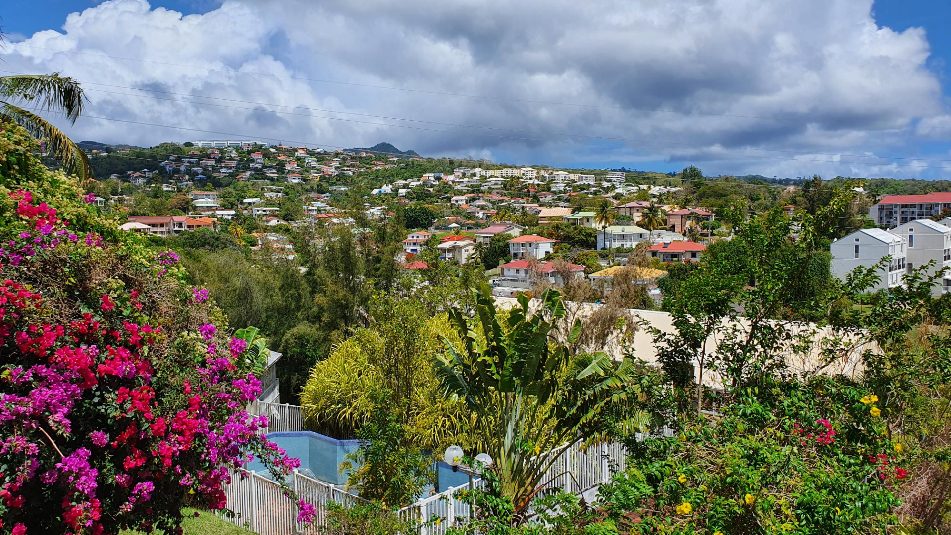 Photo Terrain Le Lamentin 4459 m2 image 5/6