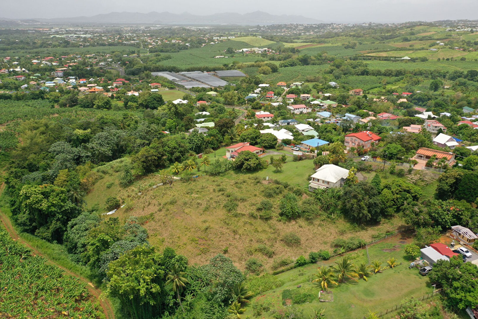Photo Terrain Le Lamentin 7047 m2 image 1/4