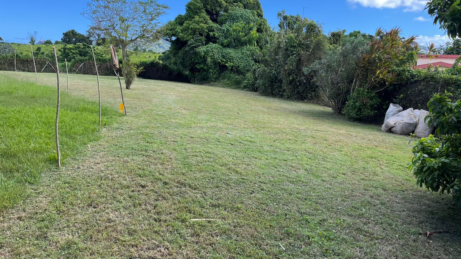 Photo Terrain Le Lamentin 7047 m2 image 2/4