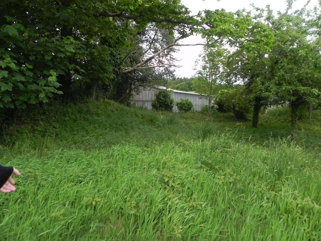 Photo Terrain Plougonven 886 m2 image 2/4